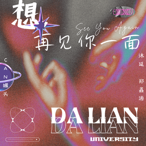 想，再见你一面