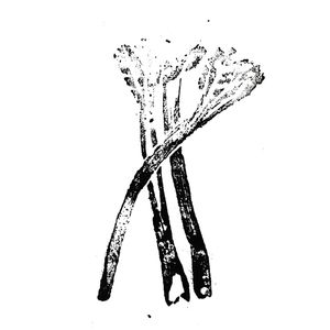 Forced Rhubarb Centre Of The World