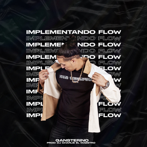 Implementando Flow