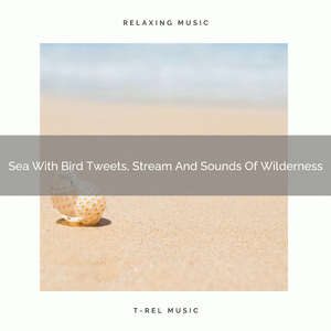 Nature Sings With Beach Vibes And Bird Songs