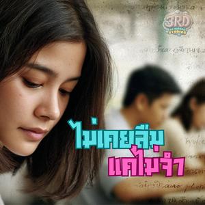 ไม่เคยลืมแค่ไม่จำ