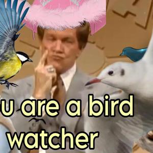 You are a Bird Watcher
