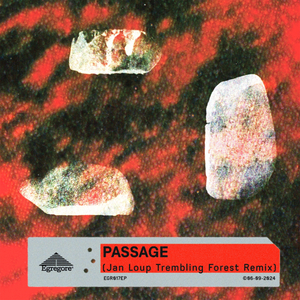 Passage (Jan Loup Trembling Forest Remix)