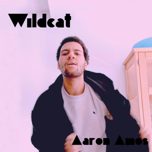 Wildcat