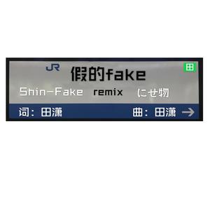 假的fake—重新定义