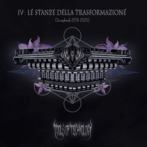 RICORDANDO ERICA - PARALISI