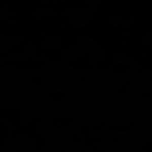 Pull up witt a stikk (feat. Topoppgen & Li ceez)