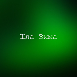 Шла зима