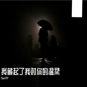 我藏起了我对你的温柔