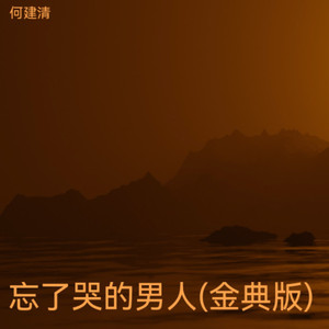 忘了哭的男人 (DJ小刚版|翻奏: 沈阳晓东)