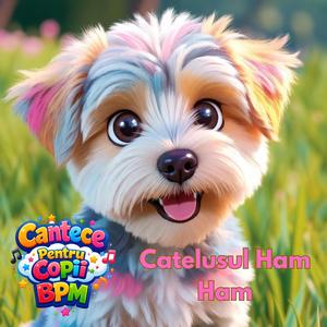 Catelusul Ham Ham