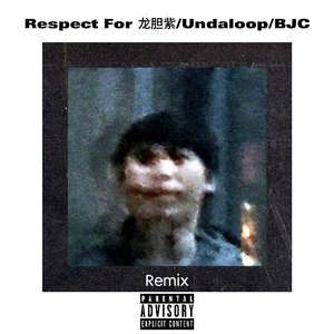 九维-我的瓷(Remix)（LeoCj remix）