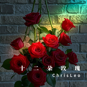 十二朵玫瑰