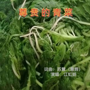 尊贵的青菜 (伴奏)