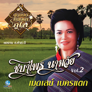 เมดเลย์ (อุ้มลูกตามแฟน, สายแนนแถนปั้น, ใจน้องต้องขอคืน, นอนสอื้นคืนฝนตก, ชายในฝัน)