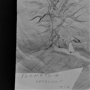 Геометрія прозорих тіл