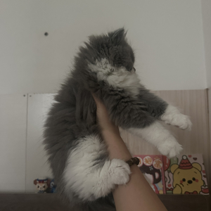 被窝里的冬天.wav