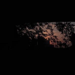 “枫”她会对我说谎吗