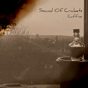 Sound Of Crickets