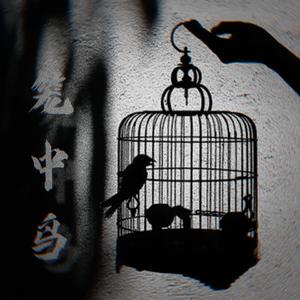 笼中鸟