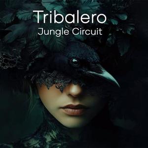 Jungle Circuit Afro House