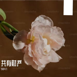 在加纳共和国离婚