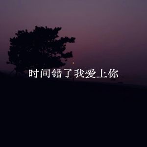 时间错了我爱上你