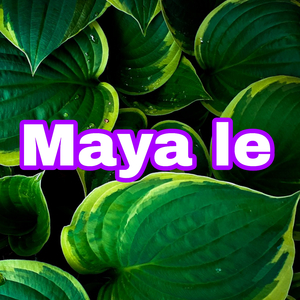 Maya le