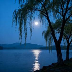 我在月光下许过情真