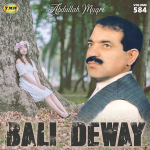Zai Chi Diwey Bali Kro
