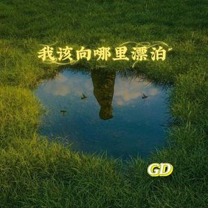 我该向哪里漂泊