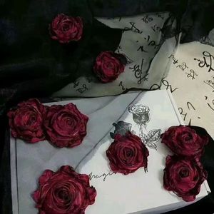 交织的花(Prod MoonVibe Beatz )