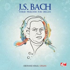 Prelude for Organ, BWV 540 / Prelude for Organ, BWV  538 / Prelude for Organ, BWV 572