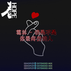 葛林 - 我是不是你最疼爱的人 (DjHope小春 Extended Mix)
