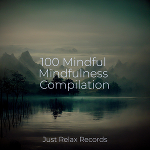 Echoes of Sacred Dreams