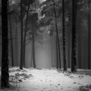 Dreamscape (Slowed + Reverb)