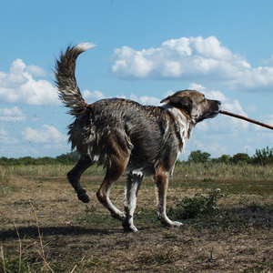 Работайте братья