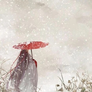 寒冬大雪白了世界