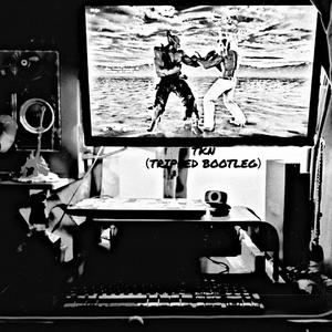 Travis Scott-TKN（Tripped remix）