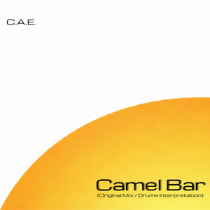 Camel Bar