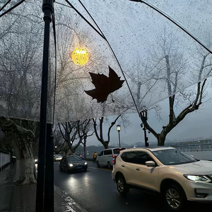 黄昏下玫瑰园的爱意幻烟