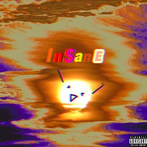 InSanE