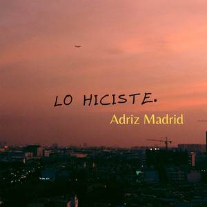 Lo Hiciste