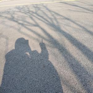 你是我最愚蠢的一次浪漫