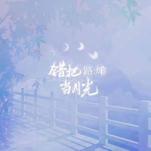 错把路灯当月光