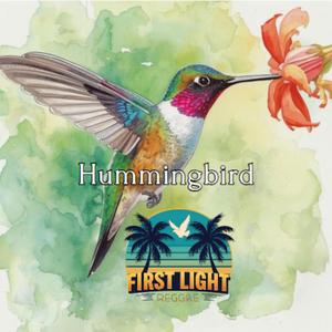 Hummingbird