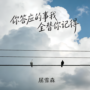 你答应的事我全替你记得