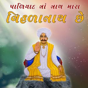 Paliyad Na Nath Mara Vihalanath Che | Aene mane Maya Lagadi | Dhaval Zala