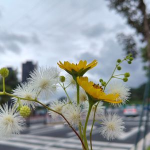 旧习惯