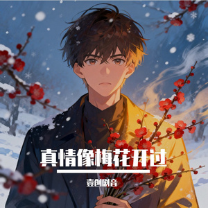真情像梅花开过